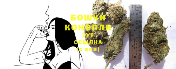 apvp Бородино