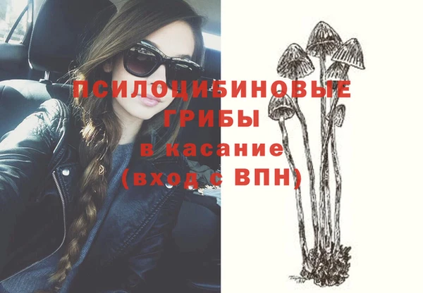 твердый Ладушкин