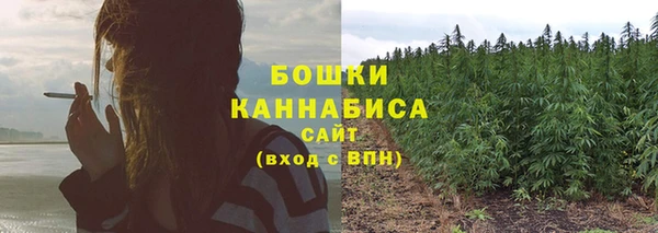 apvp Бородино