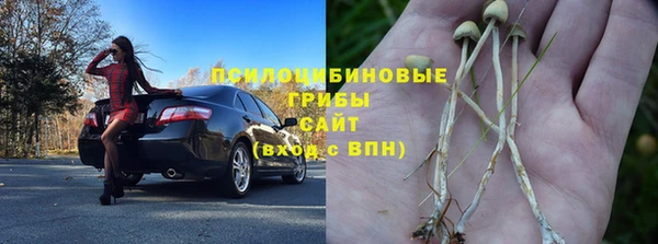 гашик Верхний Тагил