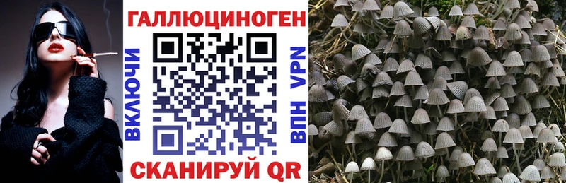 Псилоцибиновые грибы Psilocybine cubensis  ссылка на мегу как войти  Горнозаводск 